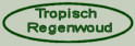 Tropisch Regenwoud