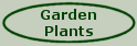 Garden Plants