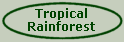 Tropical Rainforest