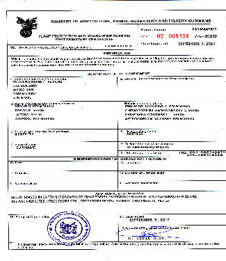 fytosanitair certificaat