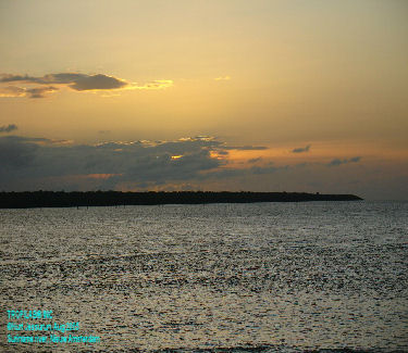 Suriname river Nieuw Amsterdam 