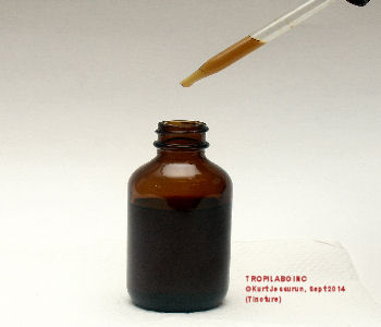 Tincture bottle