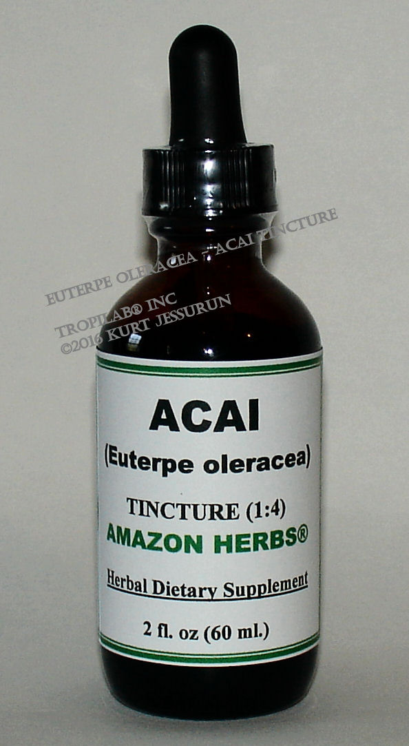 Acai, Euterpe oleracea tincture Tropilab