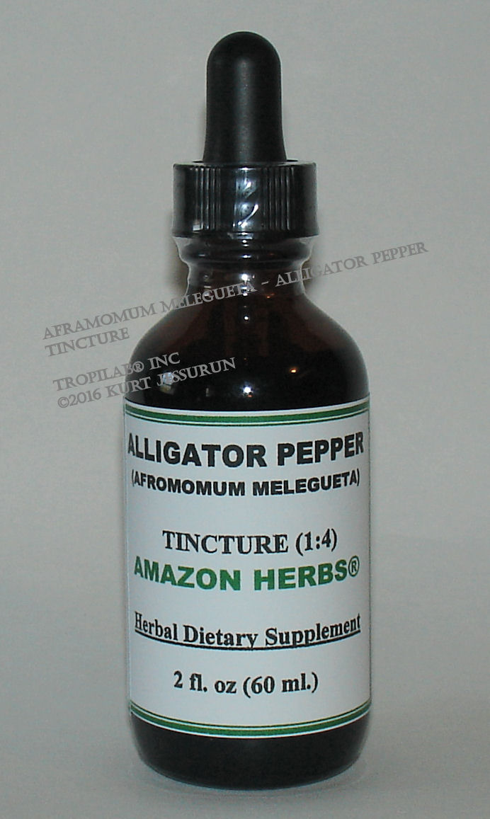 Aframomum melegueta - Alligator pepper tincture, only for US$18.65 per 2 fl oz. 
Alligator pepper is safely used for males having problems with erectile dysfunction, premature ejaculation and as an aphrodisiac.
 Used successfully against MRSA, a bacterium resistant to many antibiotics, and skin infections.