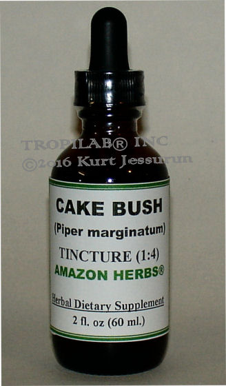 iper marginatum (Cake bush) tincture, only for US$18.65 per 2 fl oz. This medicinal plant is used to relieve pain, swelling and
 fever. It is haemostatic (substance used to stem internal bleeding), repellent, antibiotic and antifungal