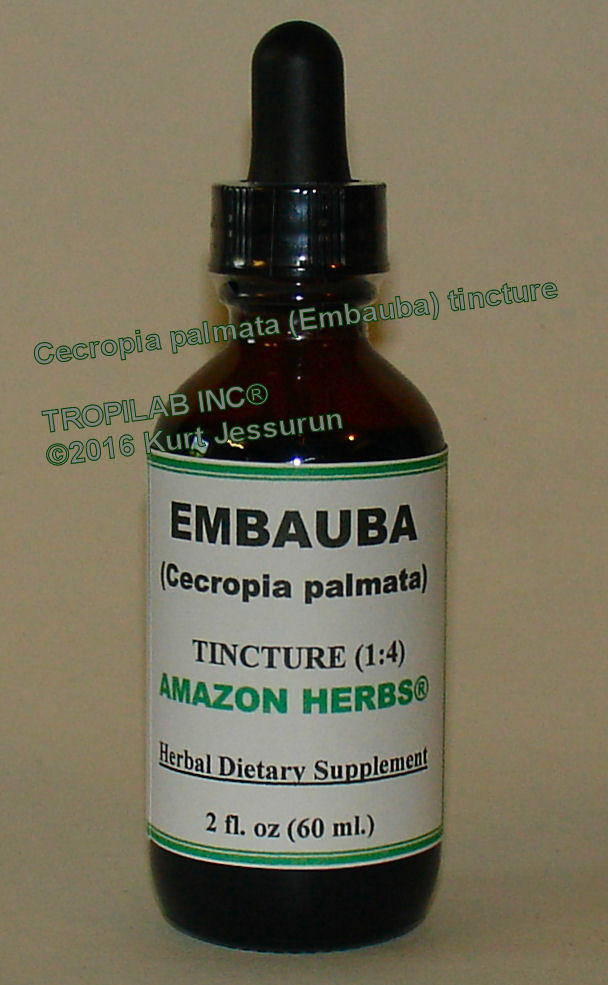 Cecropia palmata, Embauba tincture only for US$18.65. Embauba is used for the relief of asthma, cough and other upper
 respiratory complaints as bacterial- and viral infections. It is also used for sores on the mouth and/or tongue; excellent for weight control and effective against hypertension.