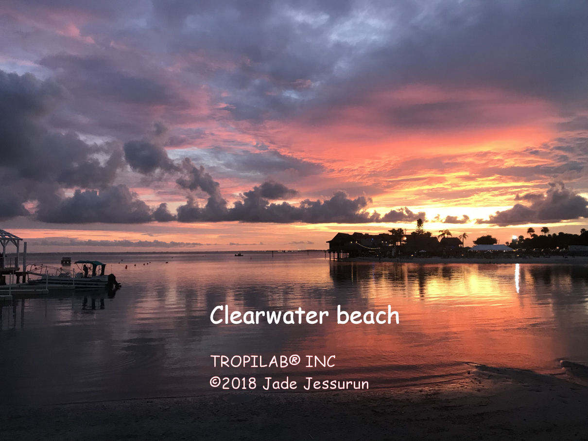 Clearwater strand