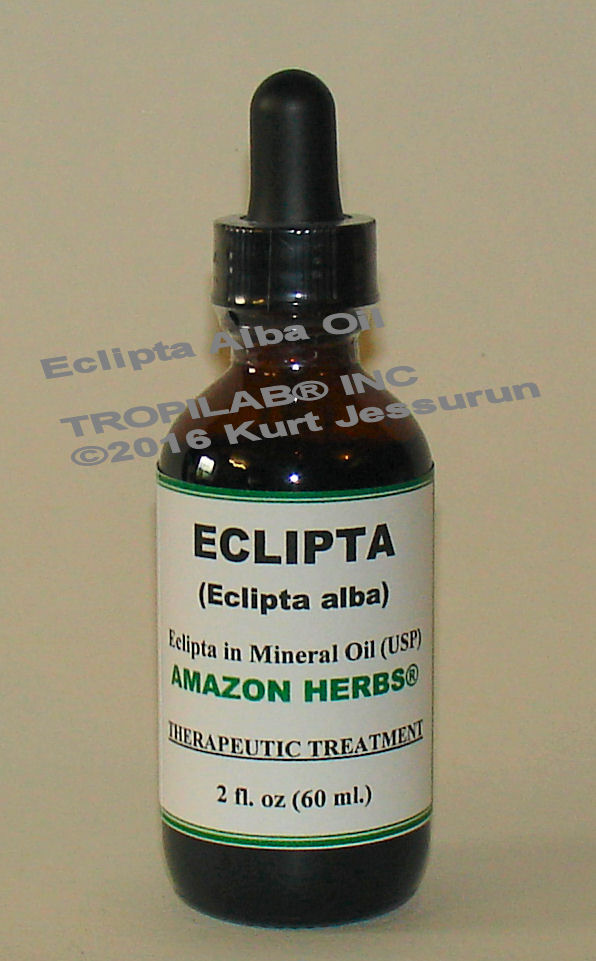 Eclipta alba