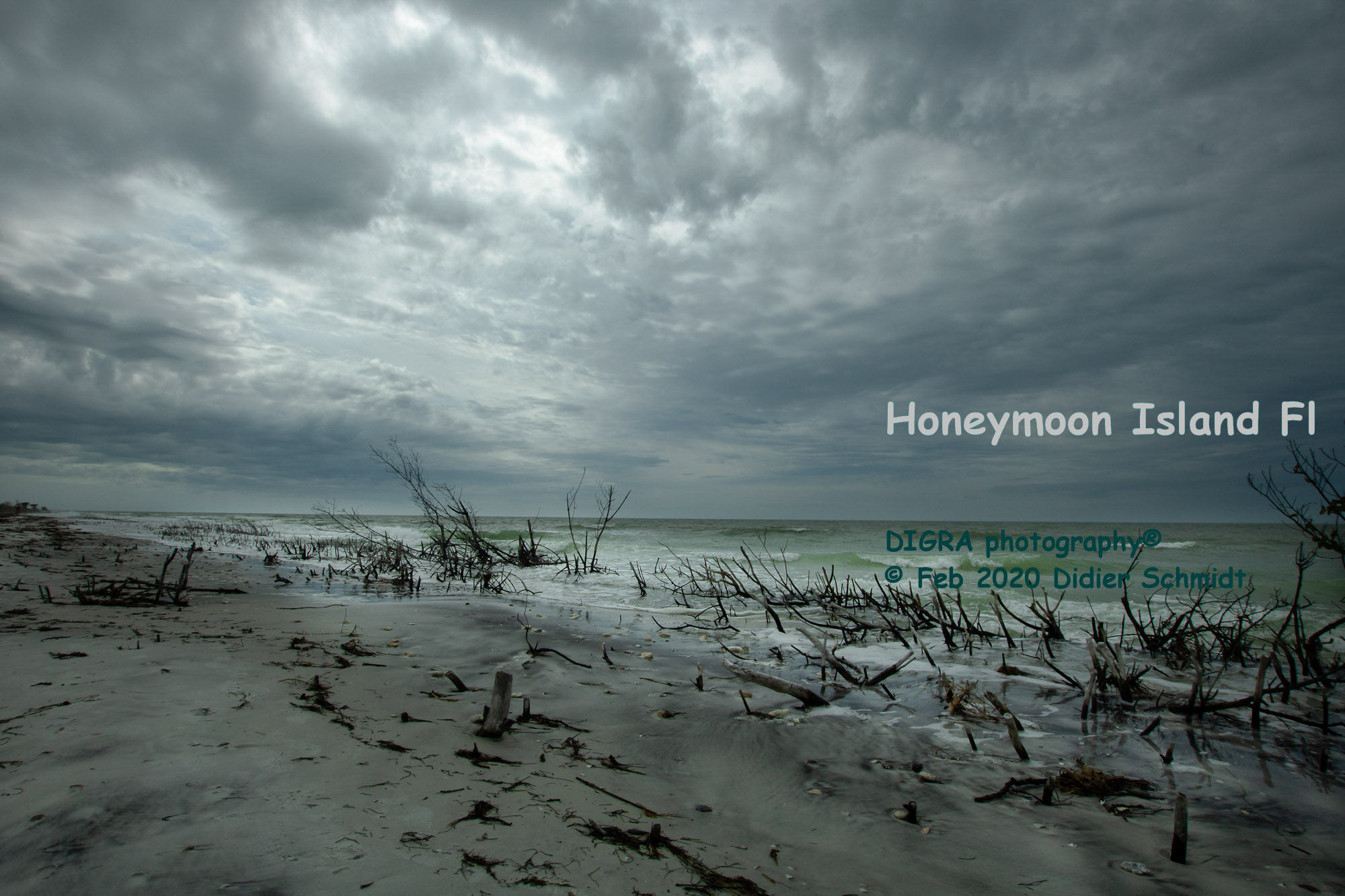 Honeymoon island, Fl