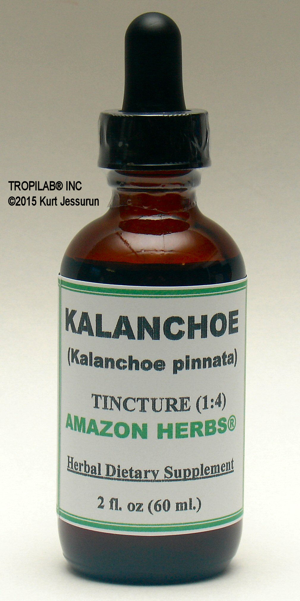 Kalanchoe pinnata, Air plant tincture only for US$18.65. Used against headaches, backaches and rheumatism. Against upper
 respiratory tract infections, URTI's, works against viral, bacterial and fungal infections. Against leishmaniasis; hepatoprotective.
 The tincture works on varicose veins, stimulates the blood circulation. Can also be topical applied to wounds, boils, and insect bites.