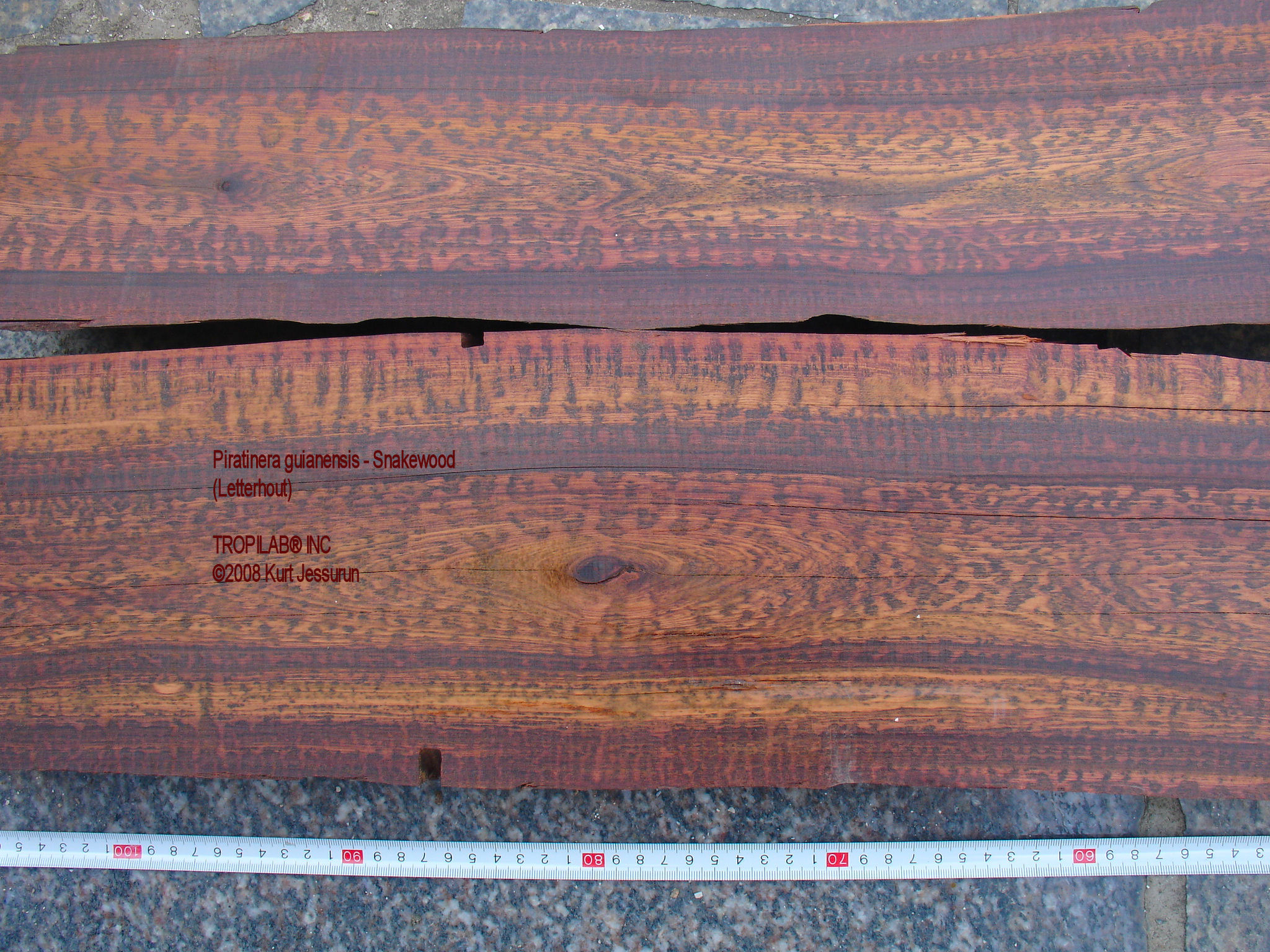 Snakewood