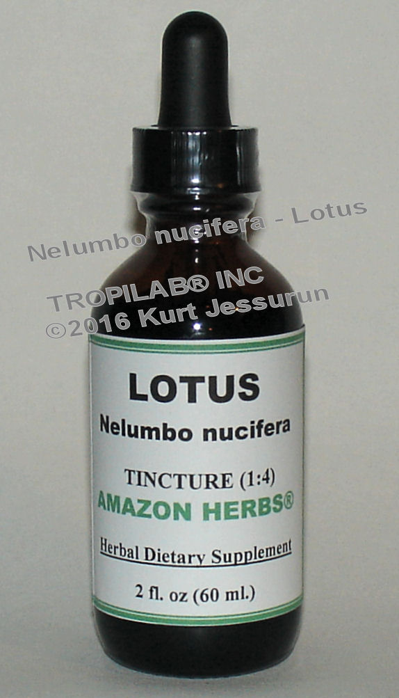 Nelumbo nucifera tincture