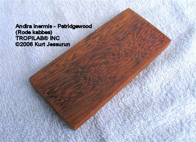 Partridgewood