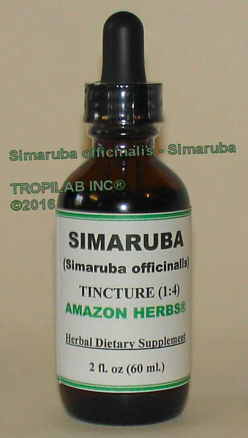 Simarouba officinalis - Simaruba tincture, TROPILAB. The powdered or chopped up bark is used for infections,
 candida yeast, parasitic, respiratory and prostatitis, swelling and inflammation of the prostate gland, anti-amebic and anti-
malarial properties, anticancer properties. It is also used in the latter stage of dysentery. It is the foremost natural remedy against chronic and acute dysentery.