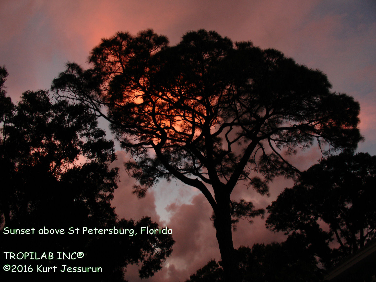 Sky above St Petersburg. Image of Tropilab