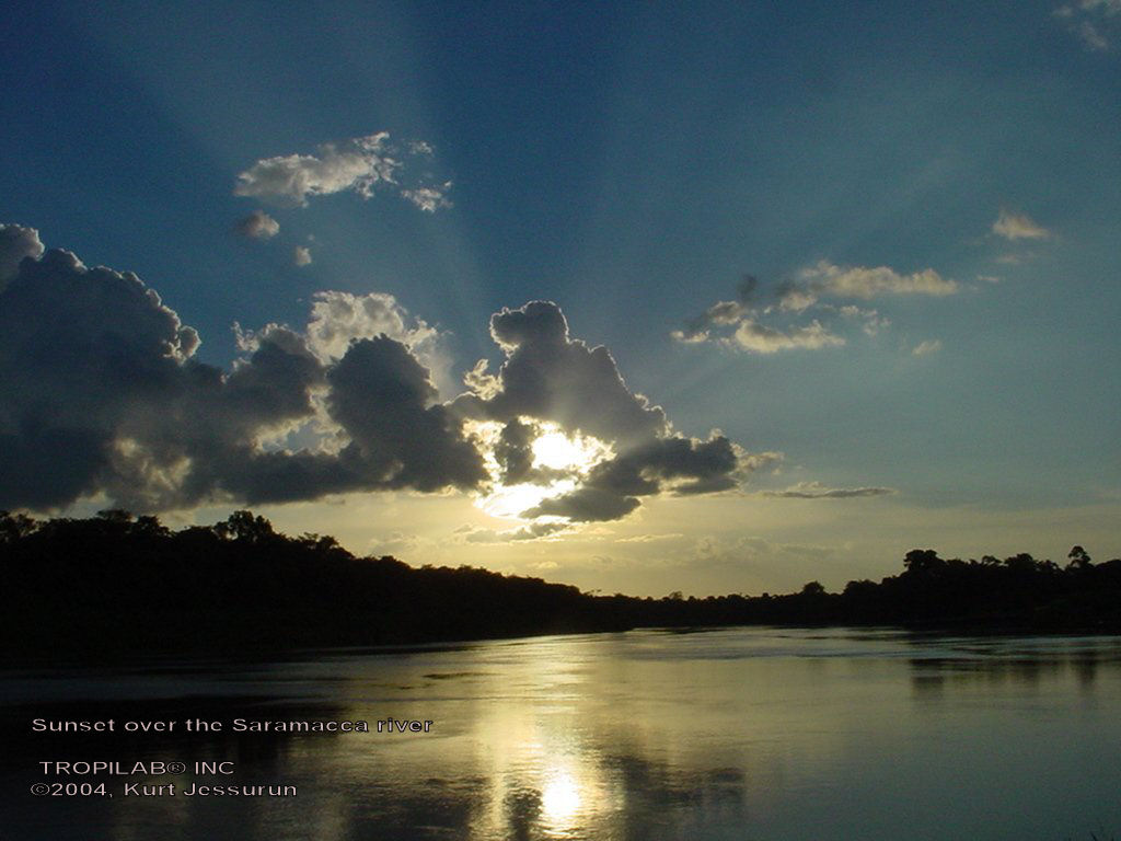 Sunset over the Saramacca river 