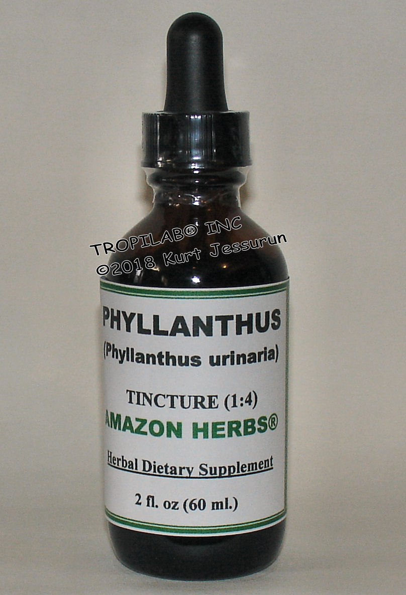 Phyllanthus urinaria-Shatterstone tincture (Tropilab). Phyllanthus eliminates gall bladder - and kidney stones, as
 well as infections, due to its spasmolytic activity. It prevents liver damage. Effective against hepatitis and gout. Lowers systolic
 blood pressure, increased urine volume, increased urine - and sodium excretion.