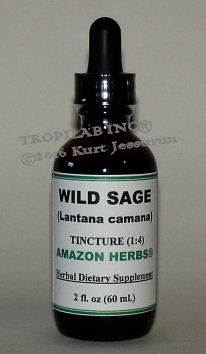 Lantana camara-Wild sage tincture, price US$18.65 p/2 fl oz. This medicinal plant is used for the treatment of skin itches, as an
 antiseptic for wounds, and for external use against leprosy and scabies. The bark is astringent and used as a lotion in leprous
 ulcers and other eruptions of the skin. The leaves are boiled and applied for swellings and pain of the body.