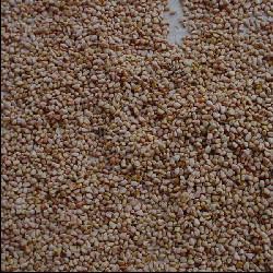 Guava seeds